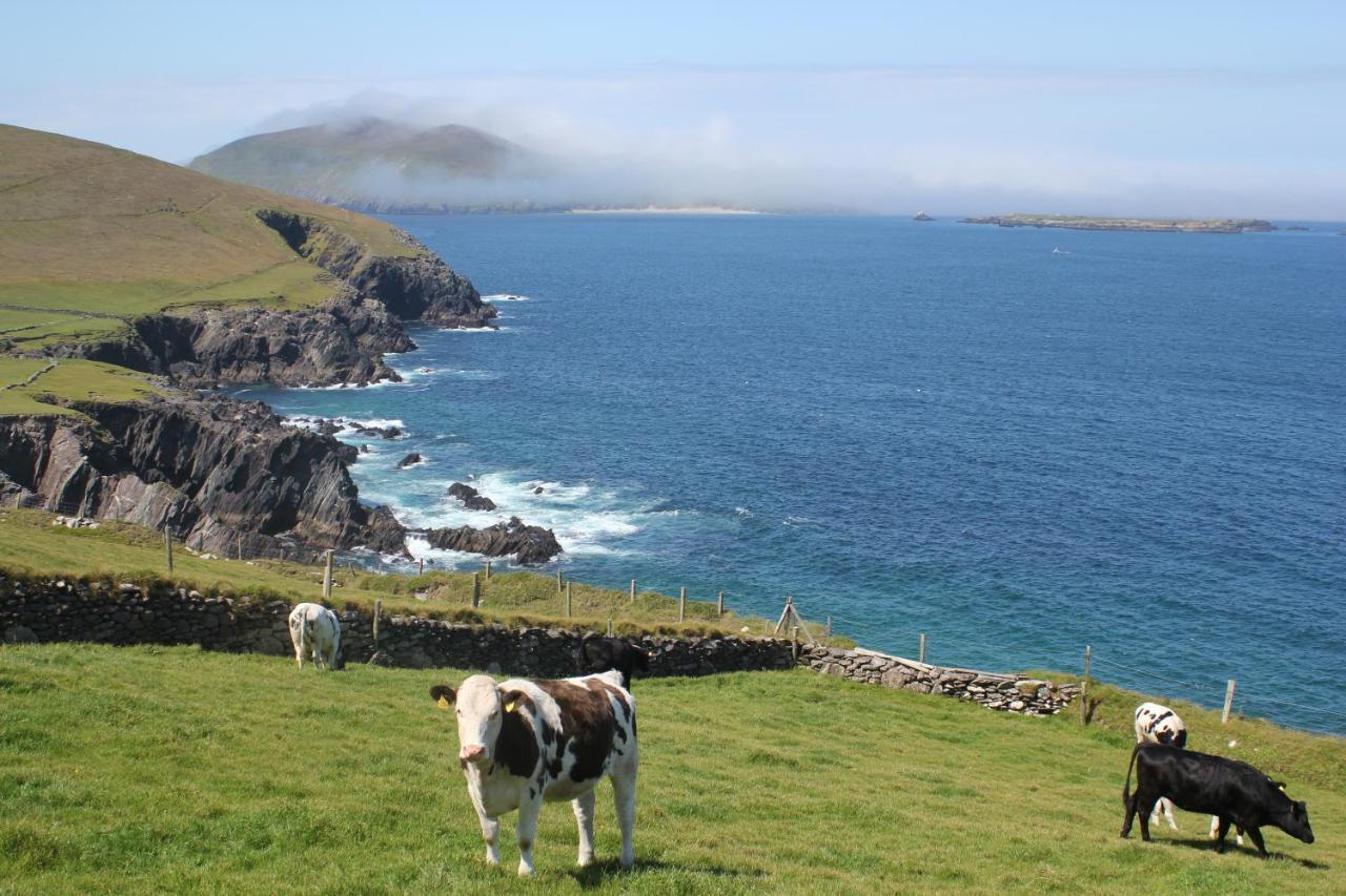 Dingle Courtyard Holiday Homes 3 Bed By Trident Holiday Homes Kültér fotó